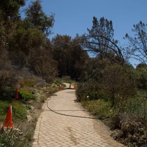 Meadow and Meadow View after the Jesusita Fire