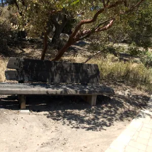 burned wood bench after the Jesusita Fire