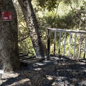 red tag, burned railing along the canyon rim, adjacent to the cottage, after the Jesusita Fire