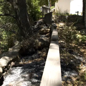 how close the fire got, railing at canyon rim, adjacent to the Cottage and Herbarium building, after the Jesusita Fire