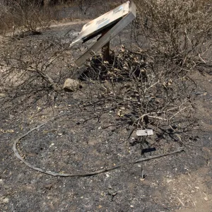 burned Chaparral sign after the Jesusita Fire