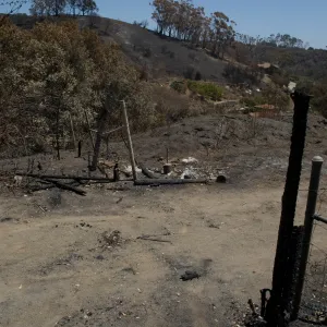 burned fence and gate, between the Porter Trail and Chip Pile. after the Jesusita Fire