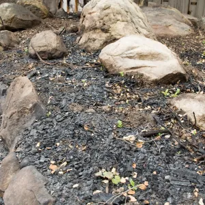area burned behind the Information Kiosk, after the Jesusita Fire