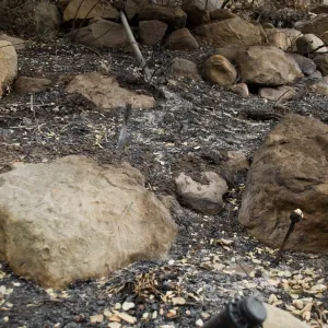 burned irrigation and melted plant tags, after the Jesusita Fire