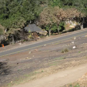 Clearing after Jesusita Fire, view of the Japanese Tea House