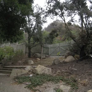 Clara Small Smith steps after the Jesusita Fire