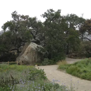 Blaksley Boulder after the Jesusita Fire