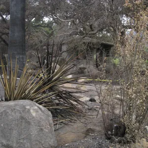 Santa Barbara Botanic Garden after the Jesusita Fire