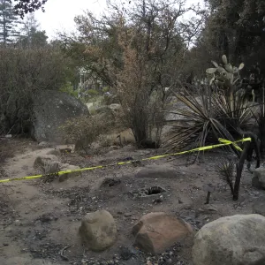Santa Barbara Botanic Garden after the Jesusita Fire