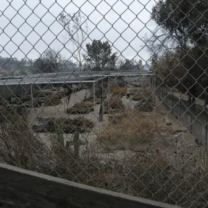 Santa Barbara Botanic Garden after the Jesusita Fire