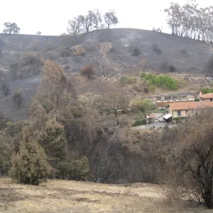 Santa Barbara Botanic Garden after the Jesusita Fire
