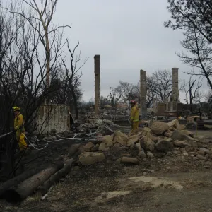 Santa Barbara Botanic Garden after the Jesusita Fire