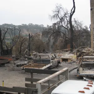 Santa Barbara Botanic Garden after the Jesusita Fire