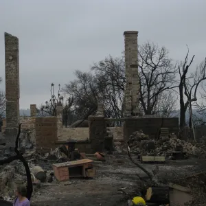 Santa Barbara Botanic Garden after the Jesusita Fire