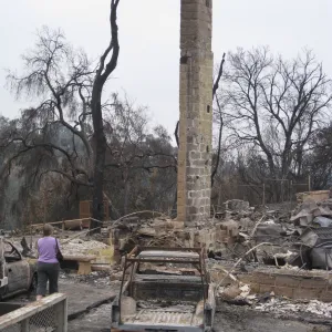 Santa Barbara Botanic Garden after the Jesusita Fire