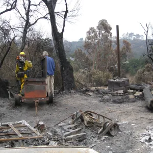 Santa Barbara Botanic Garden after the Jesusita Fire