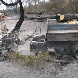 Santa Barbara Botanic Garden after the Jesusita Fire