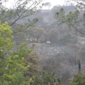 Santa Barbara Botanic Garden after the Jesusita Fire Looking North North west
