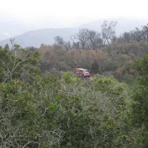 Santa Barbara Botanic Garden after the Jesusita Fire looking North North west