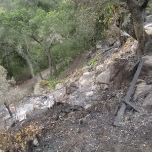 Santa Barbara Botanic Garden after the Jesusita Fire