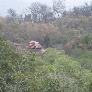 Santa Barbara Botanic Garden after the Jesusita Fire