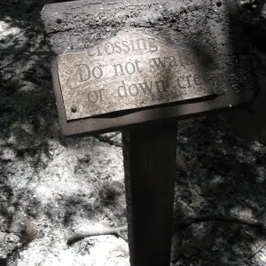 Santa Barbara Botanic Garden after the Jesusita Fire - burned sign