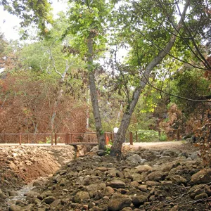 Channelization of Mission Creek above Mission Dam after Jesusita Fire