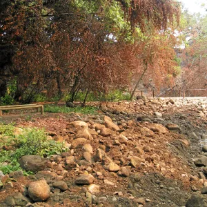 Channelization of Mission Creek above Mission Dam after Jesusita Fire