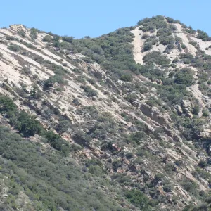 Zaca Lake