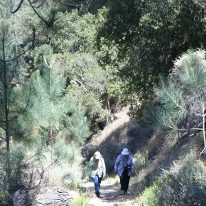 Zaca Lake
