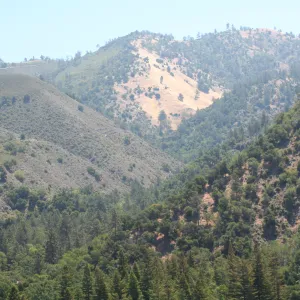 Zaca Lake