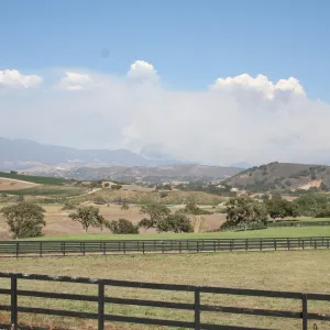 Zaca Fire