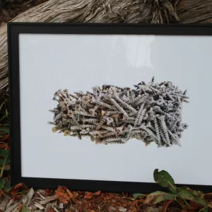Art from the Ashes Artwork
