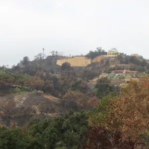 Art from the Ashes - Landscape after Fire Northwest view