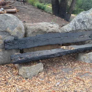 Art from the Ashes - Burned Bench