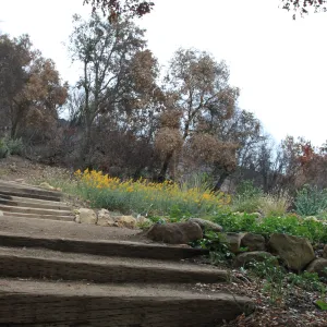 Art from the Ashes - railroad tie steps