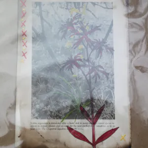 Art from the Ashes