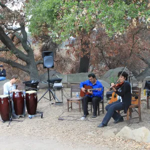 Art from the Ashes Instrumentalists