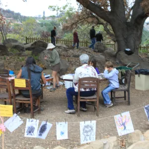 Art from the Ashes - Participants