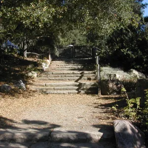Clara Small Smith steps (from parking lot to Meadow)