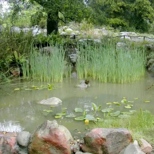 Bessie Bullard Pond