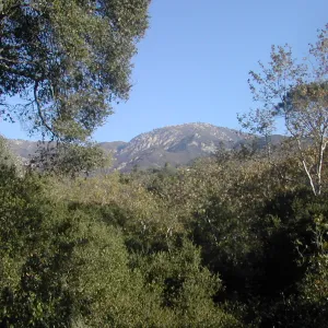 mountain view from SBBG