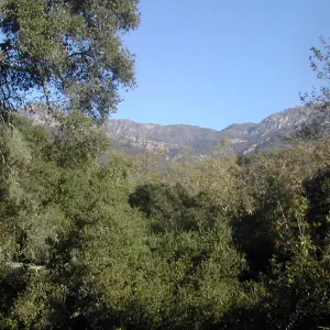 mountain view from SBBG
