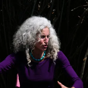 Patrick Dougherty Toad Hall Grand Opening Forest Tales