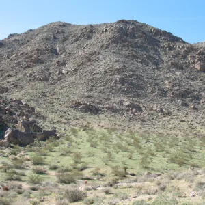 Trail to 49 Palms Oasis, Joshua Tree National Park