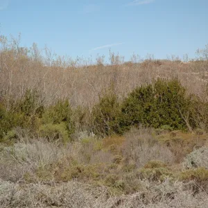 Oso Flaco Lake