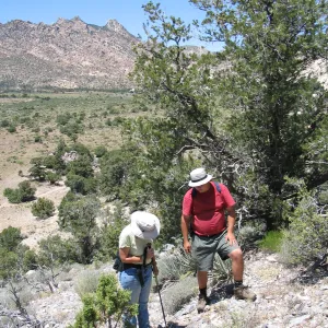 Betsy Collins, Andrew Wyatt, Caruthers Canyon, New York Mountains 
