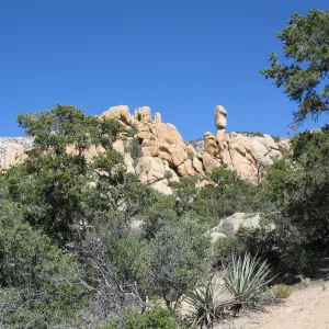 Caruthers Canyon, New York Mtns 