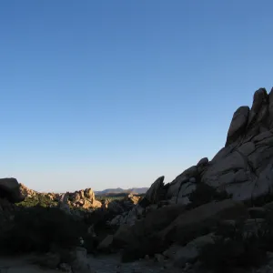 Caruthers Canyon, New York Mtns 