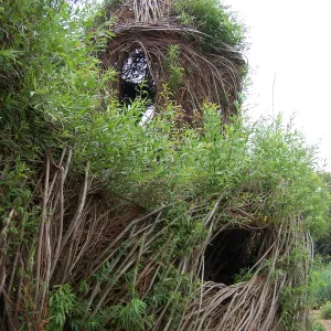 Toad Hall